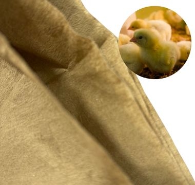 Chicks on crepe paper during raising chicken: safe and hygienic early environment