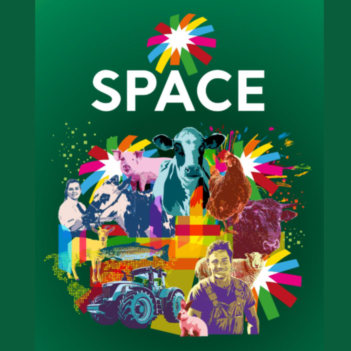 Arrosi en el salón SPACE Rennes 2025 | Papel crepé y embalaje sostenible